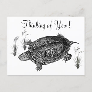 Black and White Sea Turtle Thinking of You Postcard