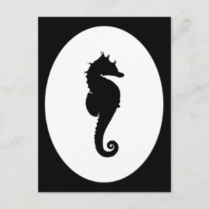 Black and White Seahorse Postcard