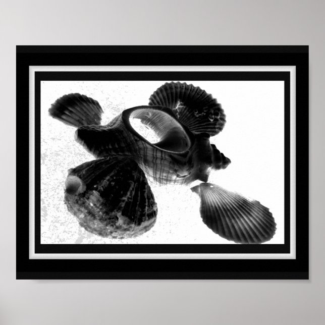 Black and White Seashell Tropical Printable Art  Poster (Front)