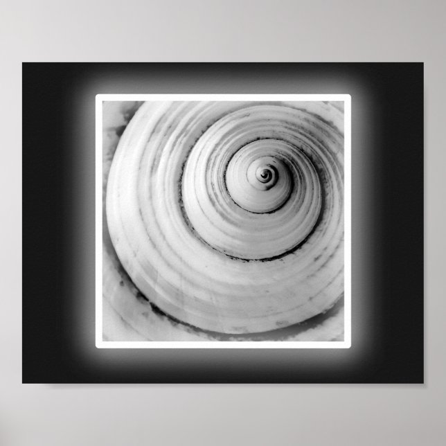 Black and White Seashell Tropical Printable Art  Poster (Front)