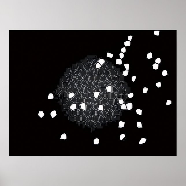 Black and White Shattered Puzzle Poster (Front)