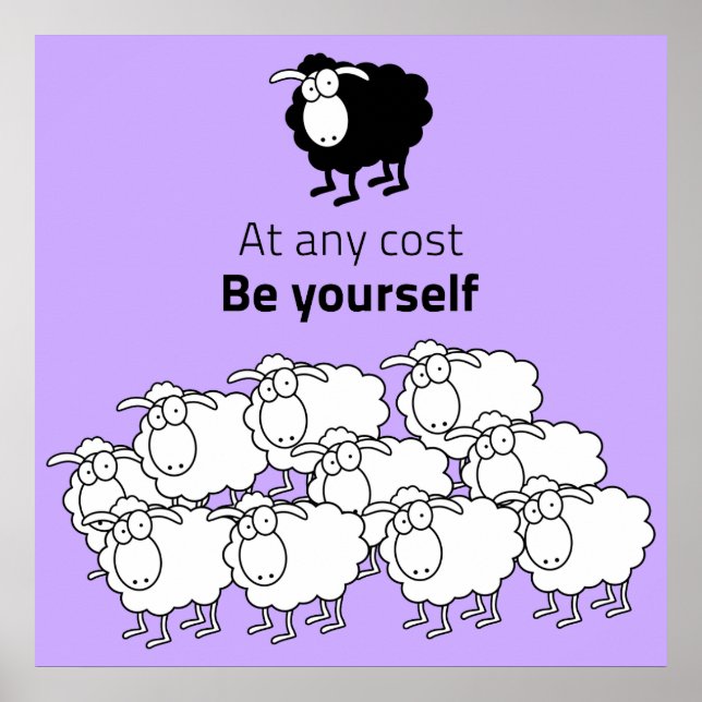 Black and white sheep poster (Front)