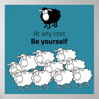 Black and white sheep