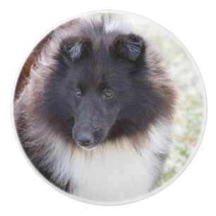 Black and White Sheltie Ceramic Knob