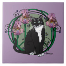 Black and White Short-Haired Cat with Irises