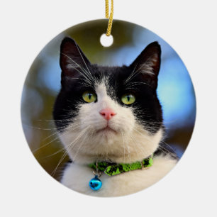 Black and White Shorthair Cat Ceramic Tree Decoration