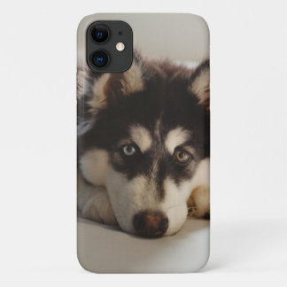 Black and white siberian husky Case-Mate iPhone case