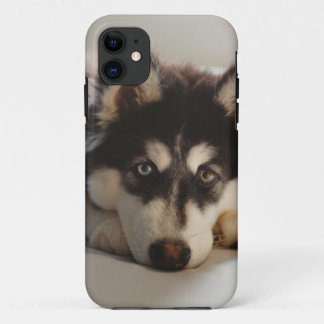 Black and white siberian husky Case-Mate iPhone case