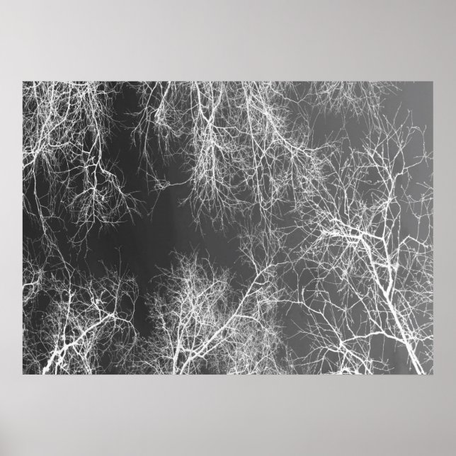 Black and white silhouetted trees poster (Front)