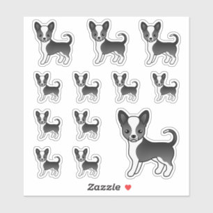 Black And White Smooth Coat Chihuahua Cute Dogs