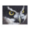 Black and White Spectacled Owl