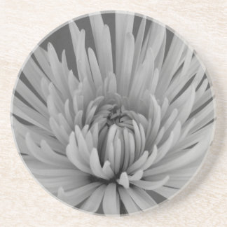 Black and White Spider Mum  Coaster