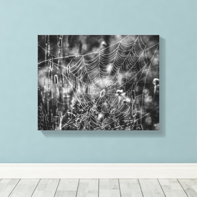 Black and White Spider Web Nature Canvas Print (Insitu(Wood Floor))