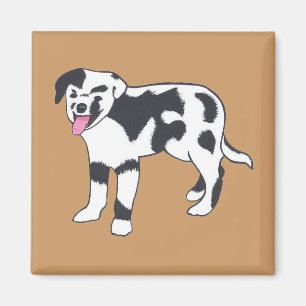 Black and White Spotted Dog Magnets