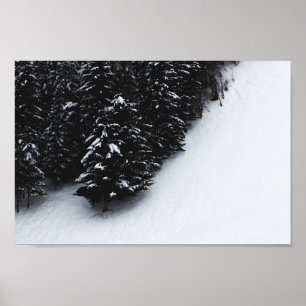 Black and white spruce forest and snow poster