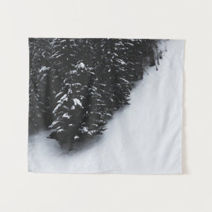 Black and white spruce forest and snow tapestry