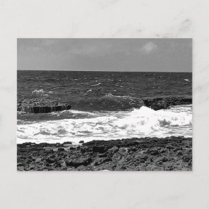 Black and White Standard Postcard Mailing Cards 
