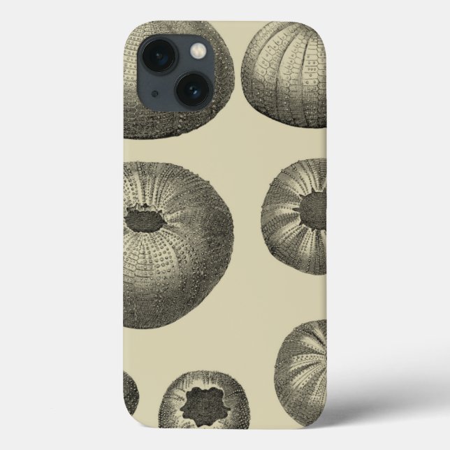 Black and White Starfish Case-Mate iPhone Case (Back)