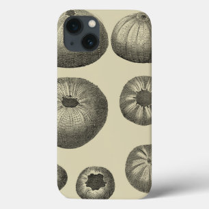 Black and White Starfish iPhone 13 Case