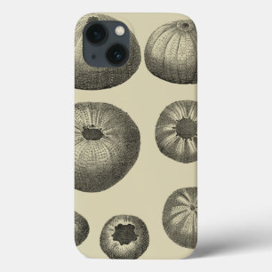 Black and White Starfish iPhone 13 Case