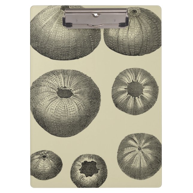 Black and White Starfish Clipboard (Front)