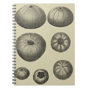 Black and White Starfish Spiral Notebook