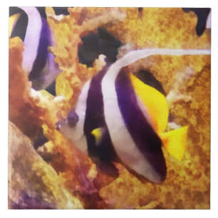 Black and White Striped Angelfish Tile