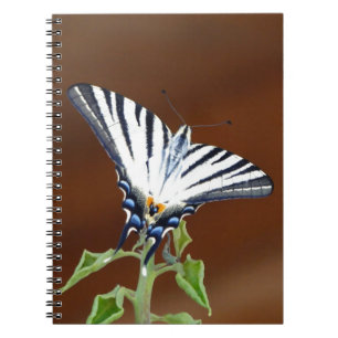 Black and White Striped Fantail Butterfly Notebook