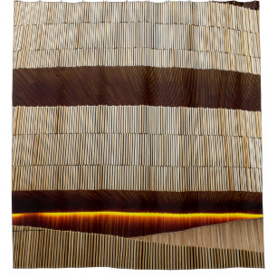 Black and white striped textile shower curtain