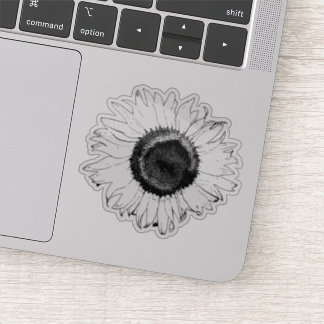 Black and White Sunflower Blossom