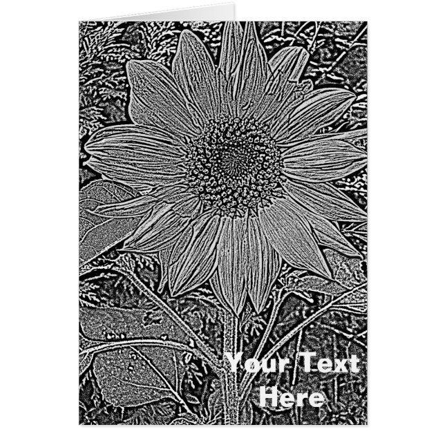black and white sunflower original modern art (Front)
