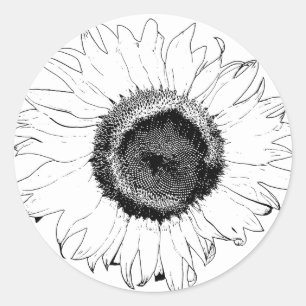 Black and White Sunflower Sticker