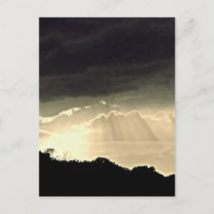 Black and White Sunset Postcard