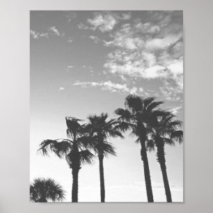 Black and White Sunset Tropical Palm Trees  Poster