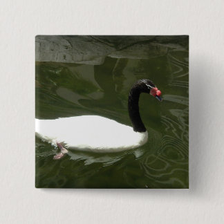 Black and White Swan 15 Cm Square Badge