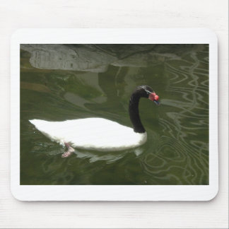 Black and White Swan Mouse Pad