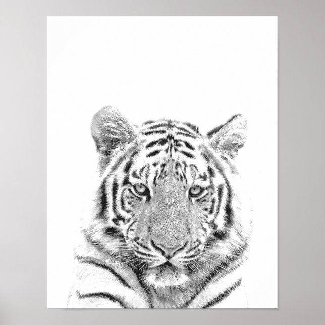 Black and White Tiger Portrait Poster (Front)