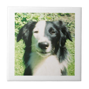 Black And White Tile