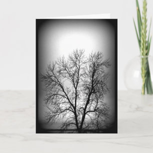 Black And White Towering Tree Any Occasion Card