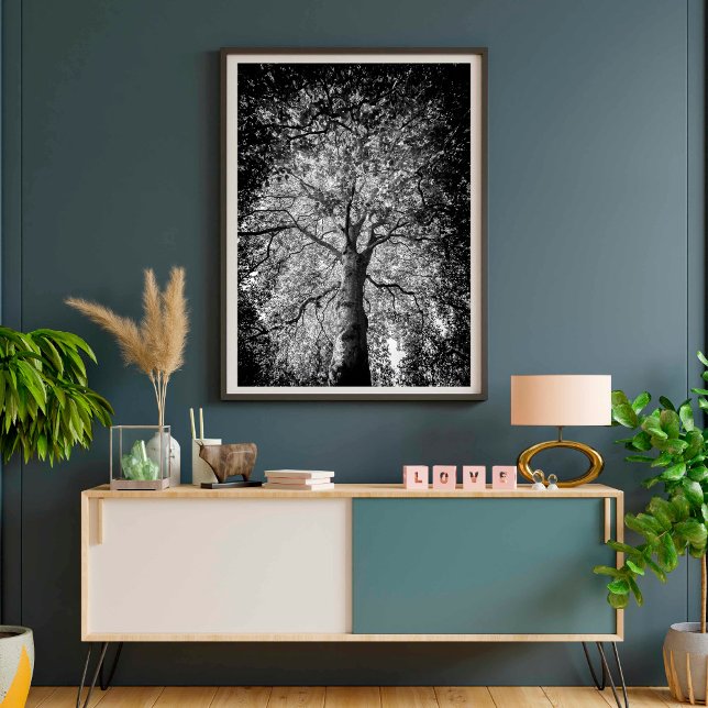 Black and White Tree FINE ART PHOTOGRAPHY Poster (Creator Uploaded)