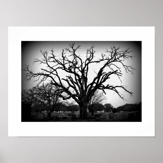 black and white tree in cemetery poster (Front)