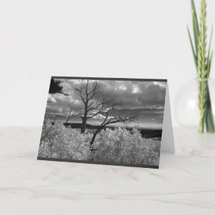 Black and white tree landscape card