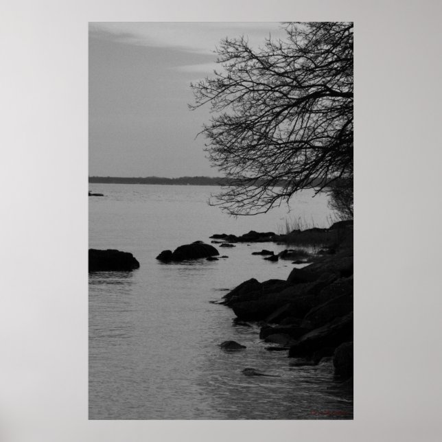 Black and White Tree Over Bay #5845 Poster (Front)