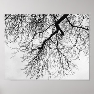 Black and white tree poster