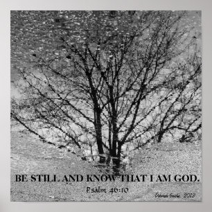 Black and white tree reflection poster