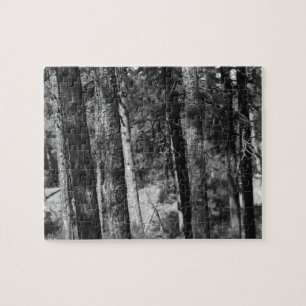 black and white trees all around puzzle