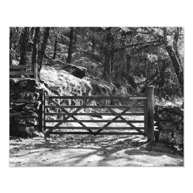 BLACK AND WHITE TREES AND GATE   PHOTO PRINT (Front)