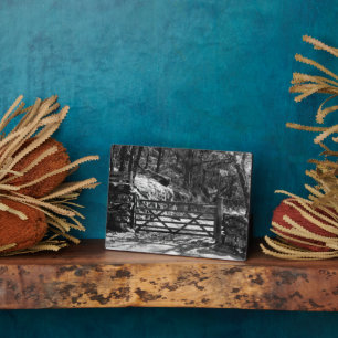 BLACK AND WHITE TREES AND GATE  PLAQUE
