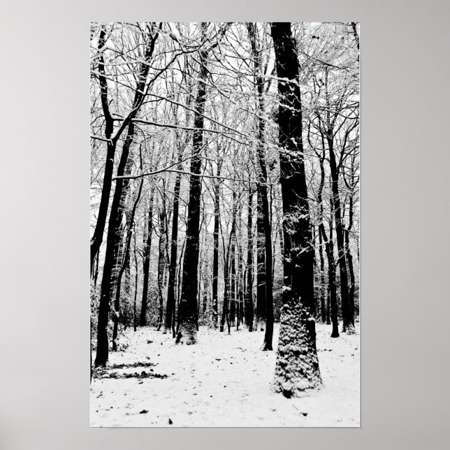 Black and White Trees in Winter Poster  (Front)