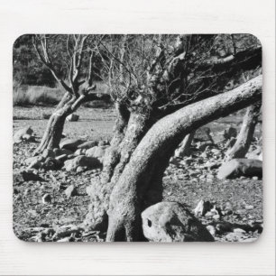 BLACK AND WHITE TREES    MOUSE PAD